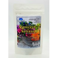 RUSZCZYK KOLCZASTY (herbatka) 50g