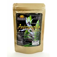 ANDROGRAPHIS PANICULATA (brodziuszka) 50g