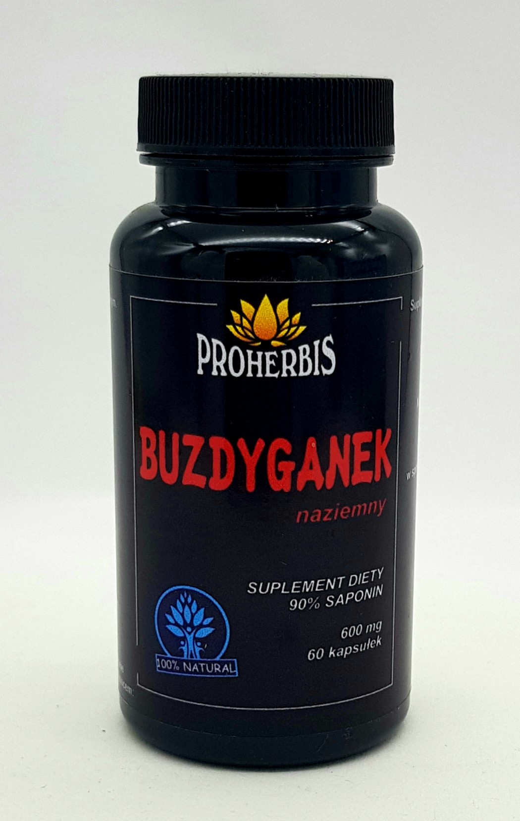 BUZDYGANEK 90% saponin 60 kapsułek
