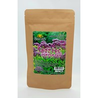 SADZIEC PURPUROWY 50g