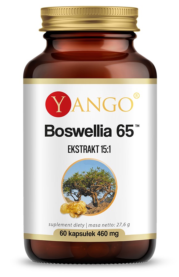 BOSWELLIA 65™ - ekstrakt 65% - 60 kaps.