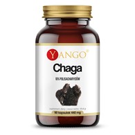 CHAGA - ekstrakt - 90 kaps.