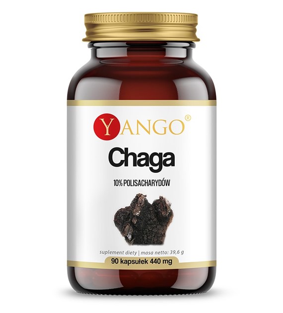 CHAGA - ekstrakt - 90 kaps.