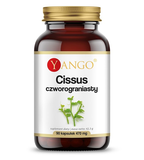 CISSUS CZWOROGRONIASTY - 90 kaps.