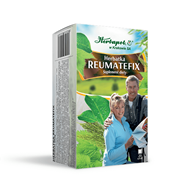 REUMATEFIX  40,0 g (2,0gx20szt.)