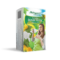 DIABETEFIX  40,0 g (2,0gx20szt.)