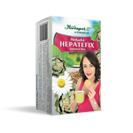 HEPATEFIX  40,0 g (2,0gx20szt.)