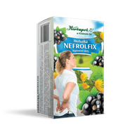 NEFROLFIX  40,0 g (2,0gx20szt.)