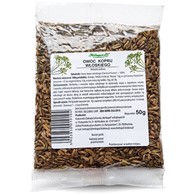OWOC KOPRU WŁOSKIEGO  50 g