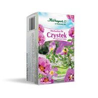 CZYSTEK  FIX  39 g (1,3gx20szt.)