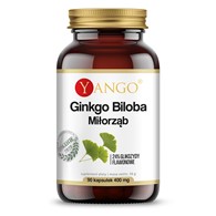 GINGKO BILOBA (Miłorząb japoński)  - ekstrakt 24% - 90 kaps.