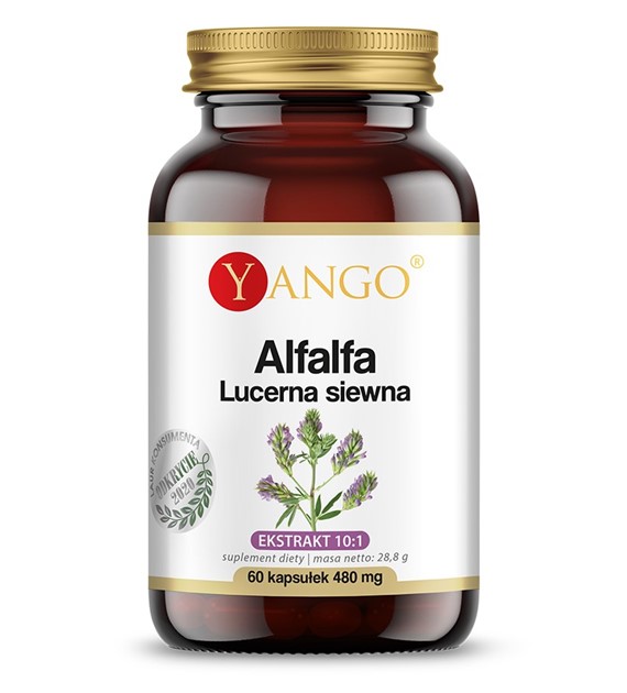 ALFALFA - Lucerna Siewna - 60 kaps.