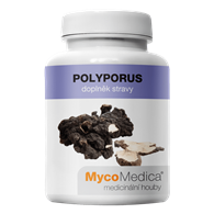 POLYPORUS - 90 kaps.