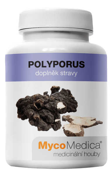 POLYPORUS - 90 kaps.