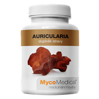 AURICULARIA - 90 kaps.