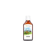CORDYCEPS - 50 ml