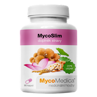 MycoSLIM- 90 kaps